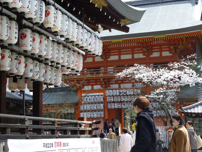 La scène de danse du sanctuaire Yasaka couverte de lanternes, près d'un cerisier en fleur